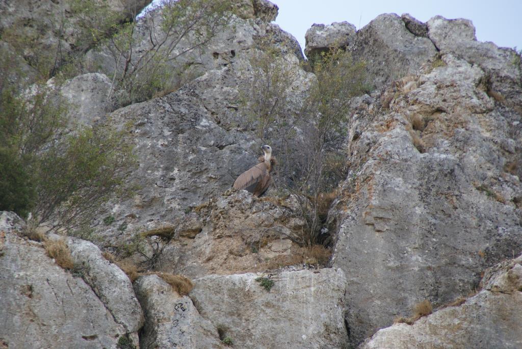 迷人峡谷公寓 Valle de Tabladillo 外观 照片