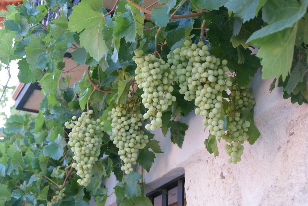 迷人峡谷公寓 Valle de Tabladillo 外观 照片
